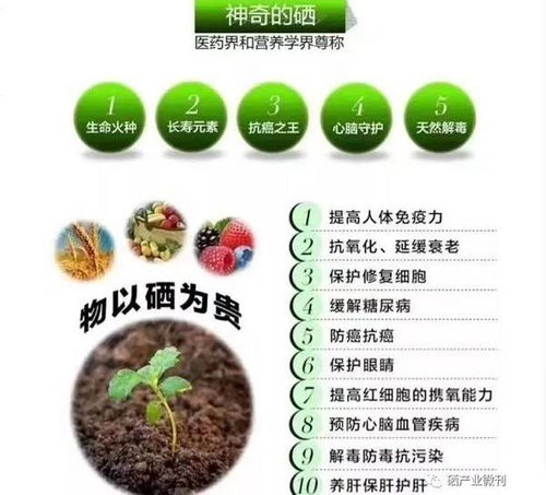 九溪九香 以富硒技術(shù)引領(lǐng)特色農(nóng)業(yè)發(fā)展，推動(dòng)現(xiàn)代農(nóng)業(yè)高質(zhì)量轉(zhuǎn)型