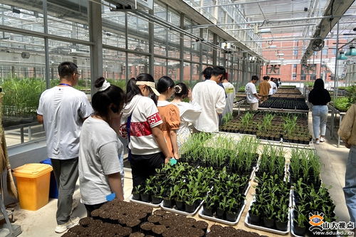 生命科學與微生物技術研究院師生深入青島清原農冠，共探農業(yè)科技前沿